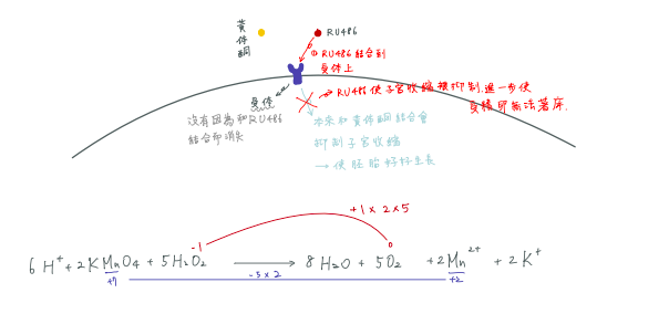 螢幕快照 2021-09-02 下午1-2021-09-02.10